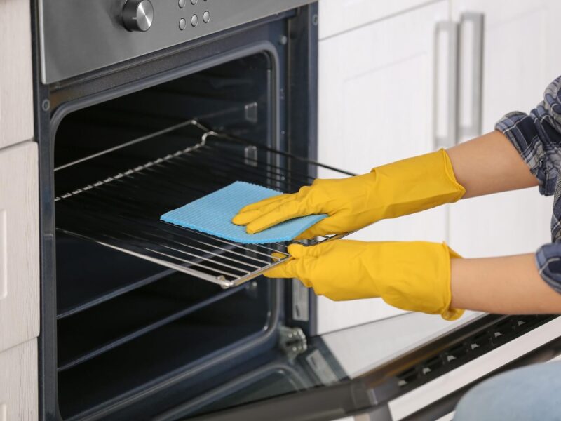 rapid oven cleaning (14)